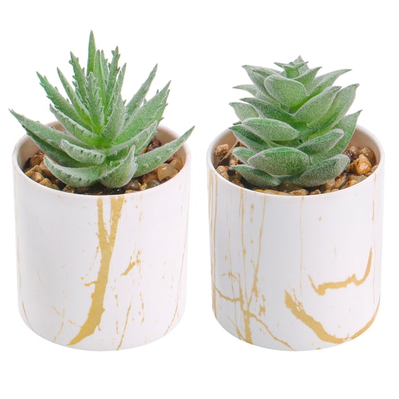 2 Pack Small Artificial Succulents Mini Fake Plants Realistic Desk Decor for Home Office Desktop Accessories