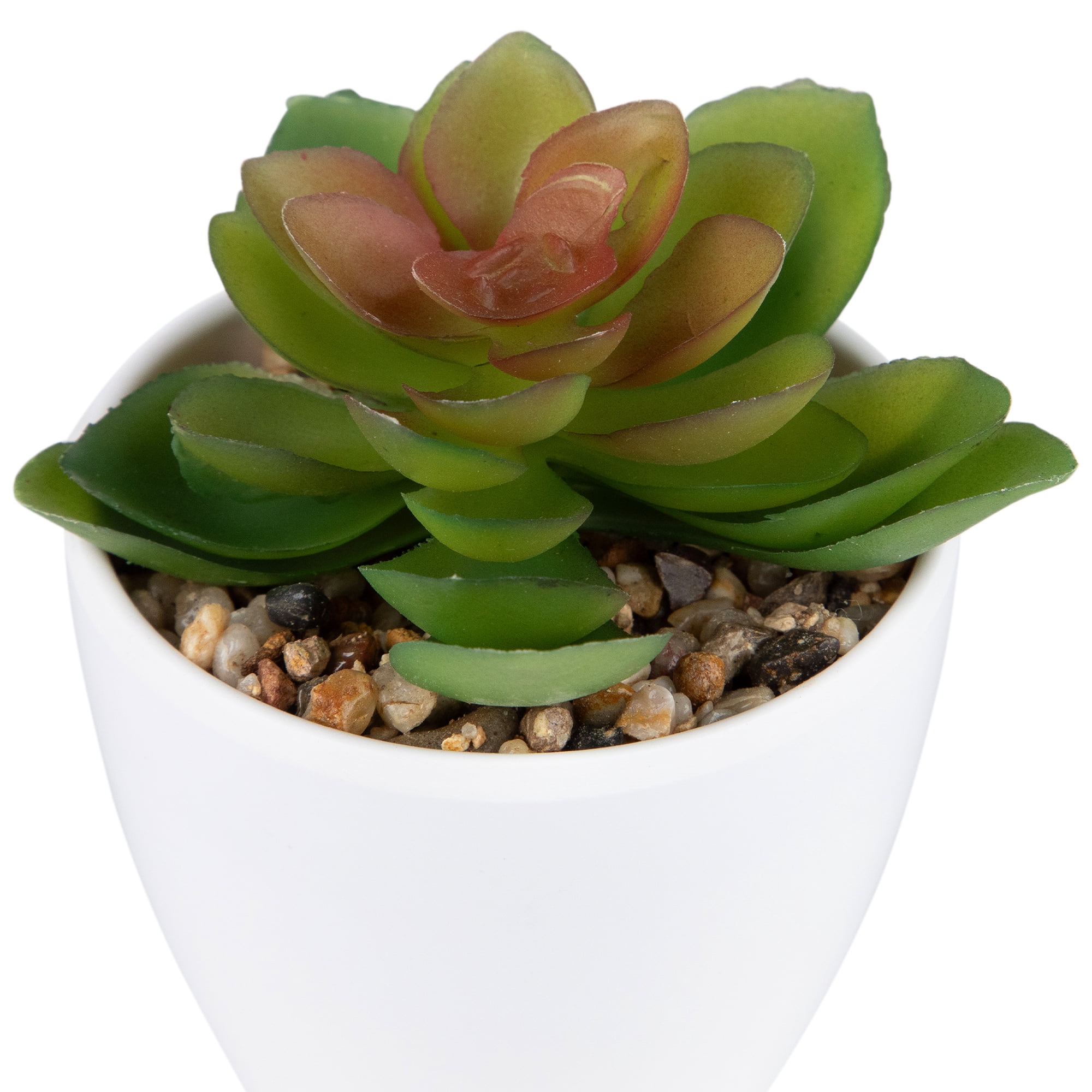 Northlight Mini White Potted Artificial Succulent Plant - 4"