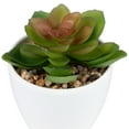 thumbnail image 6 of Northlight Mini White Potted Artificial Succulent Plant - 4", 6 of 7