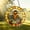 Size 4inch, variant on Colorful Bee Suncatcher STAINED GLASS Style Window Hanging, Vibrant Honeybee Decor, Nature Gift for Garden Lovers, Bee Lover, Bee Decor
