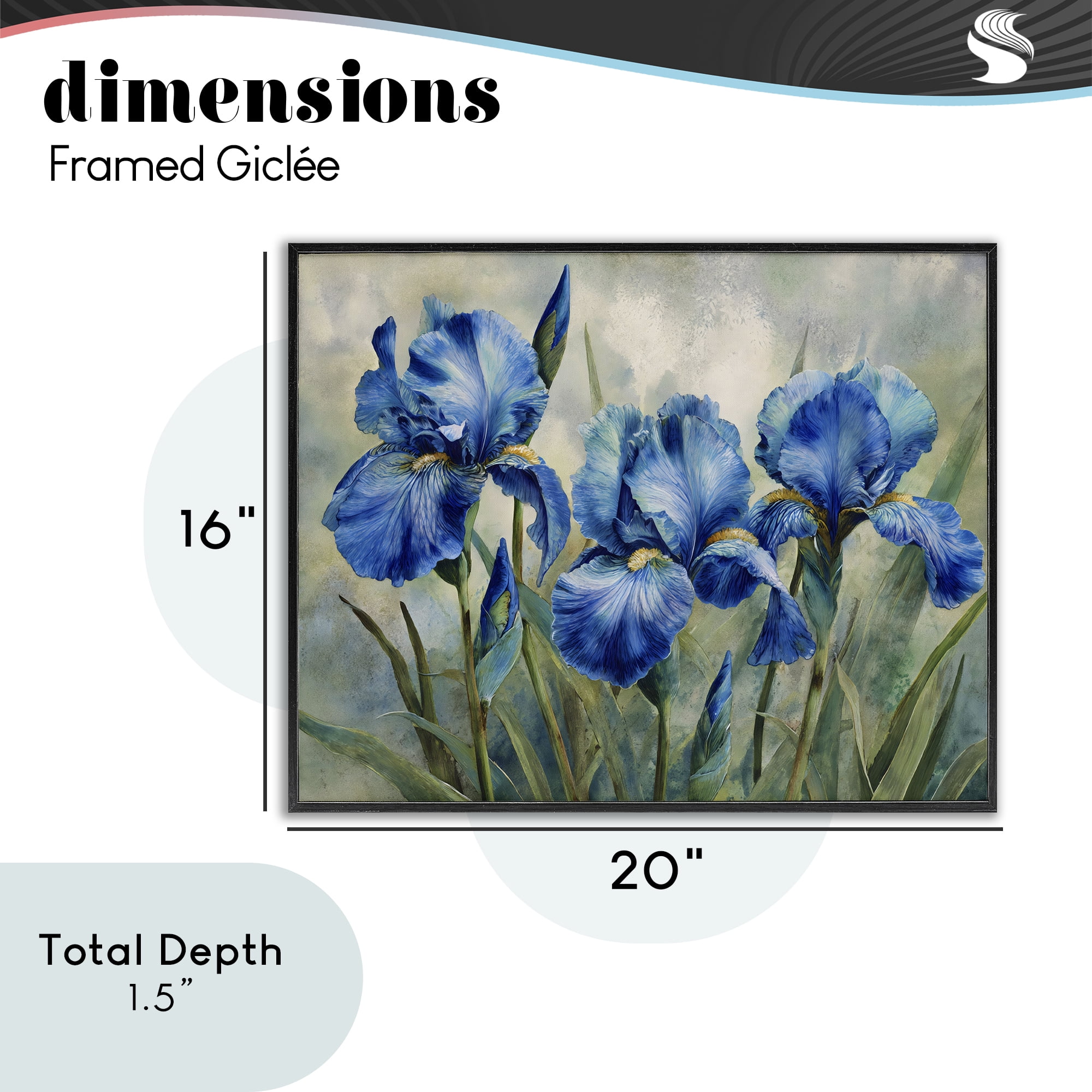 Stupell Industries Drawn Blue Iris Flowers Black Framed Giclee Art, design by Franklyn Gregory