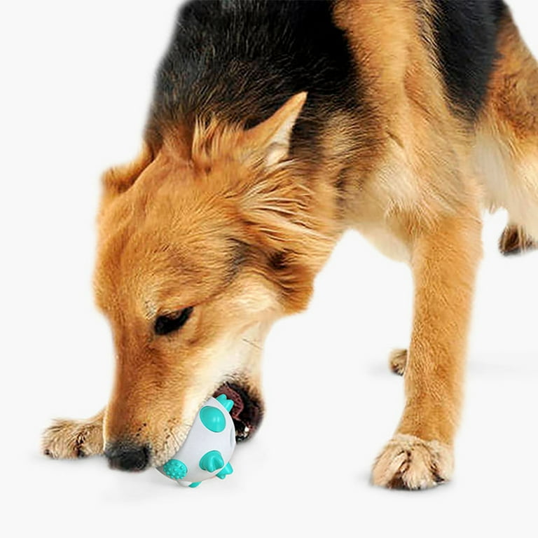 Interactive Dog Toys Ball, Squeaky Dog Toys Ball Durable Wag Chewing Ball  For Training Teeth Cleaning Herding Balls Indoor Outdoor Safe Dog Gifts For  Puppy Small Medium Dogs - Temu