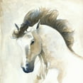 thumbnail image 2 of Laurencon 15x15 White Modern Wood Framed Museum Art Print Titled - Horse II, 2 of 4