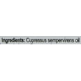 thumbnail image 1 of Cypress Essential Oil - 100% Pure Therapeutic Grade Cypress Oil - 10ml, 1 of 3