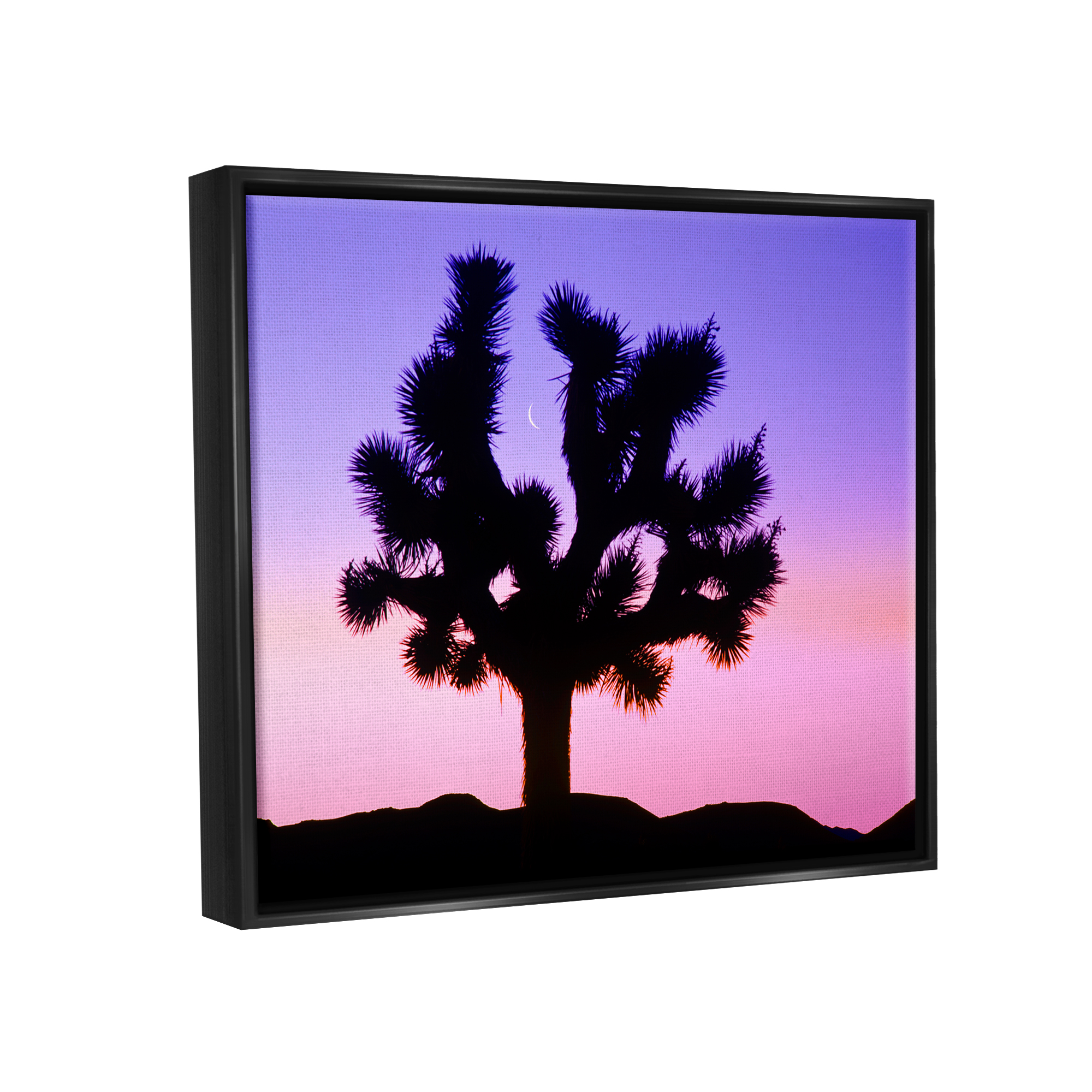 Stupell Industries Crescent Moon Tree Silhouette Landscape Photography Black Floater Framed Art Print Wall Art