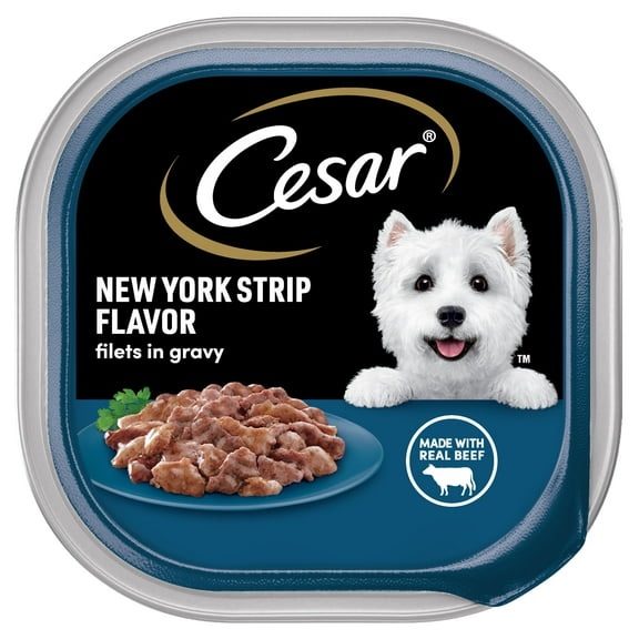 Cesar Filets in Gravy New York Strip Flavor Adult Wet Dog Food, 3.5 oz Tray