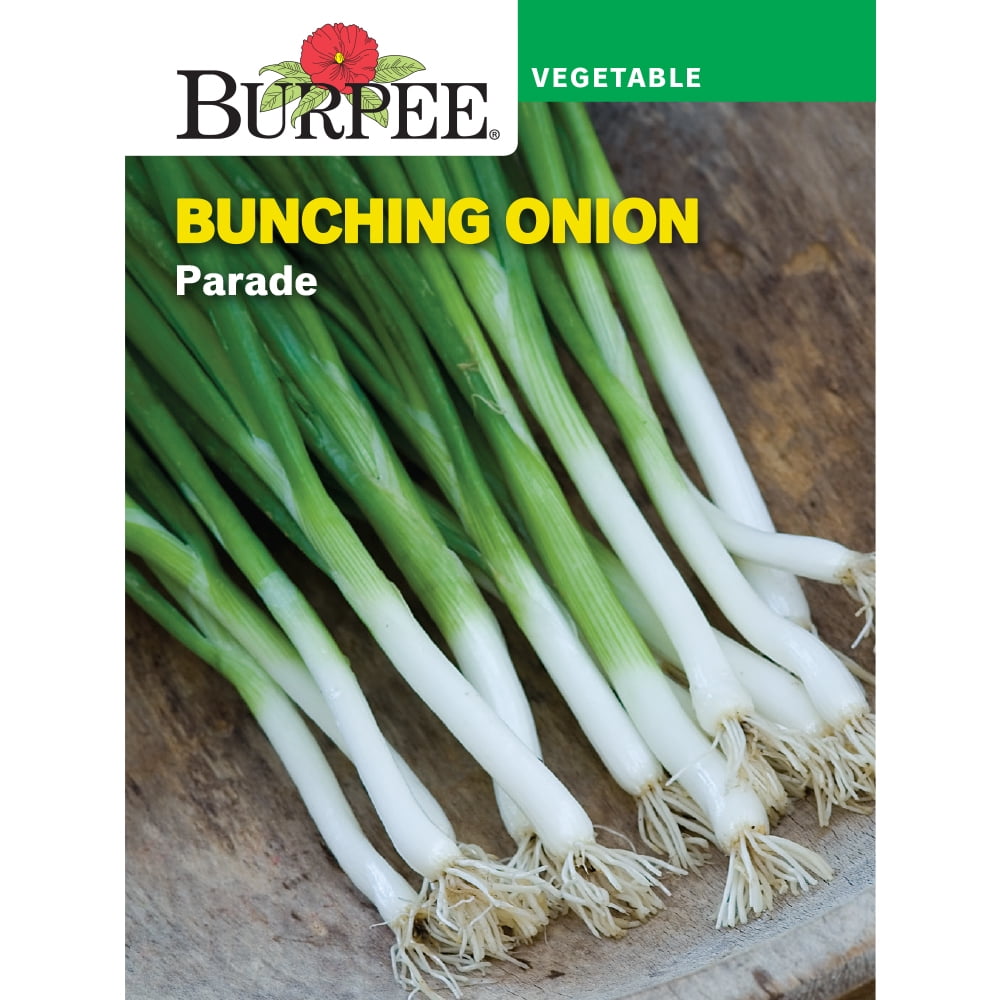 Burpee Parade Bunching Onion Vegetable Seed, 1-pack - Walmart.com