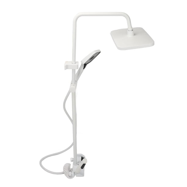 NPT 1/2 Set De Ducha De Diseño De Botón Suave Ducha De Lluvia Cómoda Con Combo De Pulverizador De Mano, Artesanía De Varios , Abdominales De Acero Inoxidable