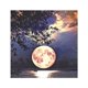 thumbnail image 4 of Taladro redondo pintura principiantes DIY Kit de arte de punto de cruz Luna cristal diamantes de imitación artesanías S8939 Kearding HA6625-03B, 4 of 6