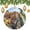 pattern-1761, variant on Ceramic Christmas Ornament Italy Houses Custom 3" Ceramic 2024 Xmas Ornament Nature Landscape Ornament Ornament for Christmas Tree Decor