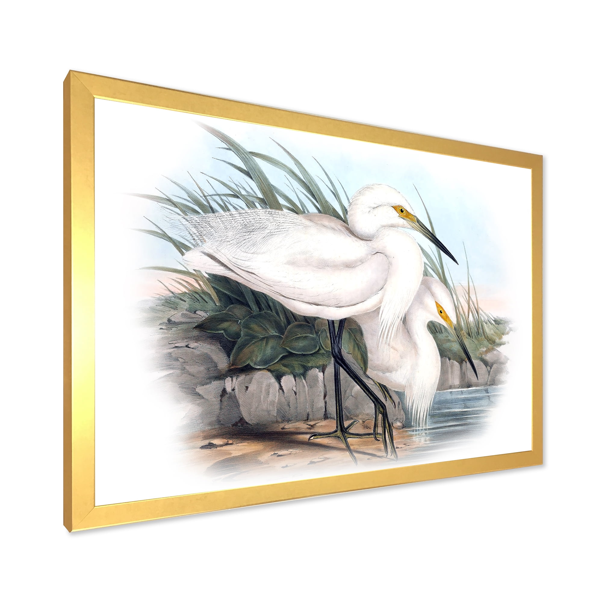 Designart 'Ancient Bird Life I' Traditional Framed Art Print