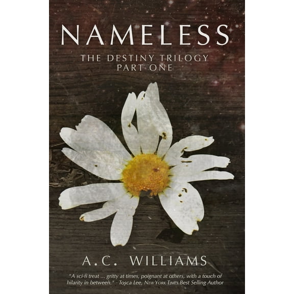 Nameless: The Destiny Trilogy Part One (Paperback)