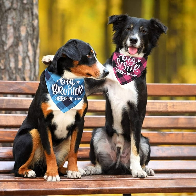 Big Brother Big Sister Dog Bandana 2 PCS Classic Plaid Pet Dog