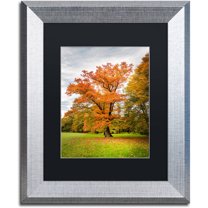 Trademark Fine Art "Burning Desire" Canvas Art by Philippe Sainte-Laudy Black Matte, Silver Frame