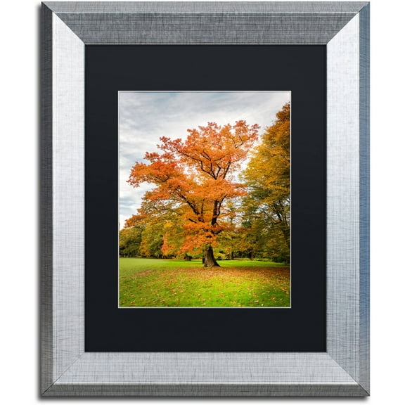 Trademark Fine Art "Burning Desire" Canvas Art by Philippe Sainte-Laudy Black Matte, Silver Frame