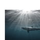 thumbnail image 3 of Imagen de fondo adhesiva lateral para pecera de acuario XS, 3 of 9