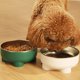 thumbnail image 5 of Cuencos desmontables para perros Laklulu, cuencos de acero inoxidable para perros, cuencos de agua y comida para perros, cuenco de alimentación para mascotas, resistente al óxido, 150 x 60 mm, 5 of 5