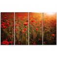 thumbnail image 2 of Dense Poppy Field At Sunset - Floral Canvas Art Print, 2 of 3