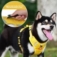 thumbnail image 3 of Pechera Arnés Reflectante Para Perros Con Correa Y Luces Led, 3 of 8