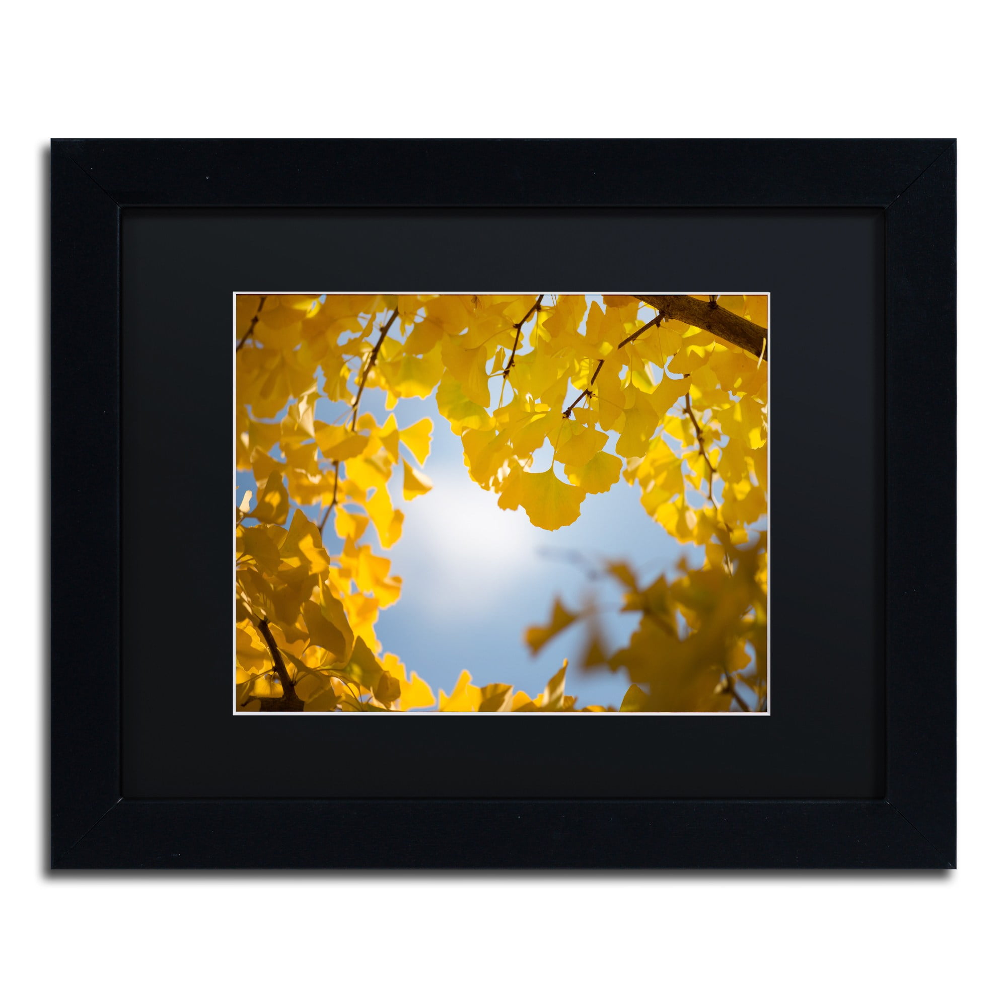 Trademark Fine Art ''Ginkgo Leaves in Autumn'' by Philippe Sainte-Laudy 16" x 20" Black Matted Black Frame (886511797086)