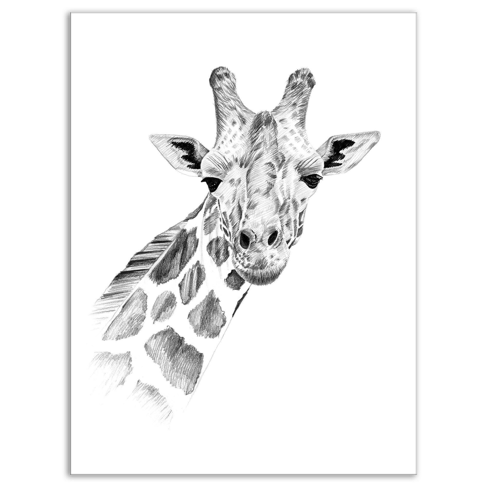 giraffe art black and white