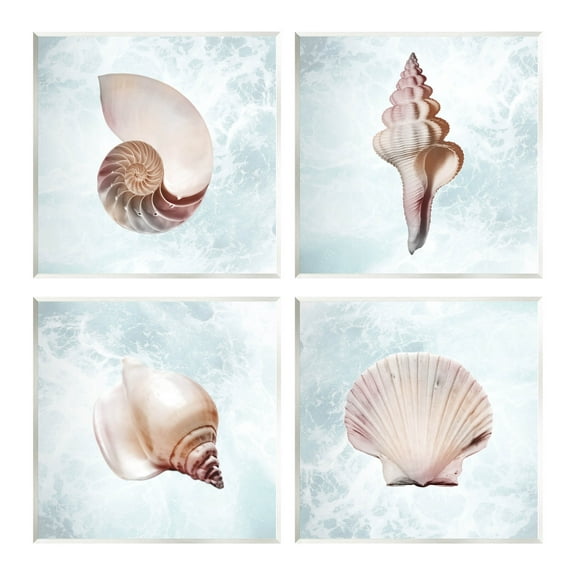 Stupell Industries Underwater Sea Life Shells Graphic Art Unframed Art Print Wall Art, Set of 4, Design by Marcus Prime