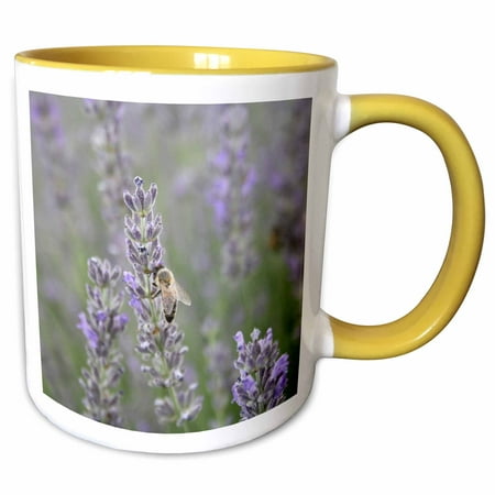 3drose, Honeybee on Lavender Close up Photography, 15oz Two-tone Yellow Mug