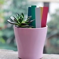 thumbnail image 4 of Grandest Birch 100Pcs Garden Plant Pot Markers Plastic Stake Tags Yard Court Nursery Label Tool Easy to Clean Reusable Waterproof, 4 of 8