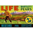 thumbnail image 2 of Retrolabel 14x11 White Modern Wood Framed Museum Art Print Titled - Life Brand Bartlett Pears, 2 of 4
