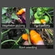 thumbnail image 5 of Juego de fundas para el dedo, cortador de pulgar, herramienta de recolección para cosechar plantas, jardinería, recolector de frutas y verduras, 5 of 7
