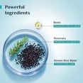 thumbnail image 3 of Pilgrim Korean Black Rice & Rosemary Water Spray with Biotin for Strong, Nourished Hair | Helps Reduce Breakage, Adds Volume & Shine, Refreshes Scalp | Sulphate & Paraben Free | 6.76 Fl Oz (200ml), 3 of 7