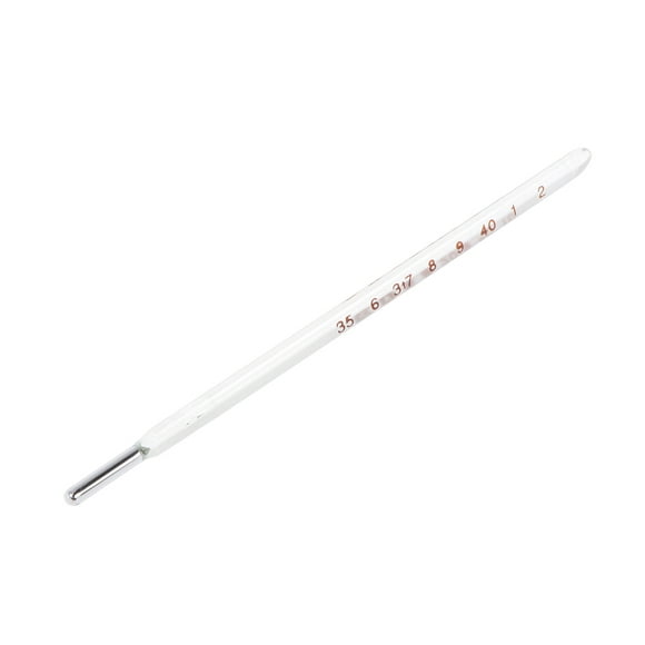 Glass Thermometer Oral