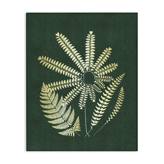 Stupell Industries Fern Sprigs Flower Shape Plants & Flowers Painting Wrapped Canvas Art Print Wall Art, 16 x 20