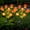 Orange, variant on Fohil Solar Garden Lights 2 Pack, Solar LED Lights Outdoor Waterproof with 7 Tulip Flowers, 2 Lighting Modes Solar Flower Lights for Garden Yard Lawn Patio Pathway