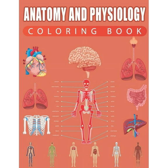 Anatomy and Physiology Coloring Book (Paperback)