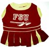Florida State Seminoles Cheer Leading SM