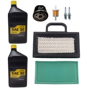 Proven Part Tune UP Kit Fits Briggs & Stratton 499486S, 698754, 695667, 5069K