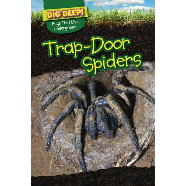 Dig Deep! Bugs That Live Underground: Trap-Door Spiders (Paperback) -  