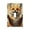 Single Toggle, variant on Modern 1-Gang No Device Blank Wall Plate Electrical Switch Cover Outlet Switchplate, Funny Fox Vintage Art