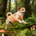 thumbnail image 5 of Insulated Vest Winter Coat For Dogs Featuring Convenient Leash Ring And Fashionable Cold Weather Design, 5 of 5