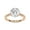 Rose Gold, variant on Solitaire Hidden Halo Wedding Rings for Women Center 8.5MM Cushion and Round Cut Lab Created Moissanite Engagement Ring Jewelry Gift for Her In 14K Solid White Gold Size 5