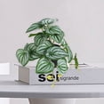 thumbnail image 1 of YAOMOBB Fake Leaves Realistic Simulation Plant Artificial Monstera Leaves for Wedding Decoration, 1 of 6