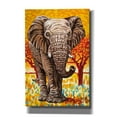 thumbnail image 1 of Epic Graffiti 'Wild Africa I' by Carolee Vitaletti Canvas Wall Art, 12"x18", 1 of 3