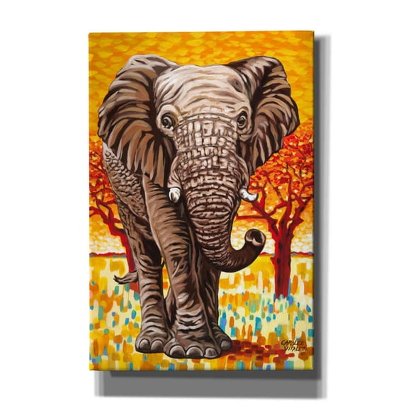 Epic Graffiti 'Wild Africa I' by Carolee Vitaletti Canvas Wall Art, 40"x60"