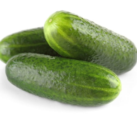Cucumber Seeds - Addis - 5 Lb ~76 000 Seeds - Cucumis sativus - Farm & Garden Vegetable Seeds - Non-GMO Heirloom Open Pollinated Annual