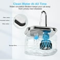 thumbnail image 3 of Filtros de fuente de agua Cat para fuente de acero inoxidable, 3 of 8