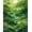 Green, Pattern 2, variant on ODIKA Golf Topographic Koi Landscape Pond Blade Motifs Layers Cartoon Stain Resistant Flatwoven for Entryway, Kitchen, Mudroom