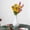 Yellow, variant on 7 Head Carnations Mother's Day Flowers Wedding Window Decoration Home Flower Arrangement Props Artificial Flowers Artificial Flowers