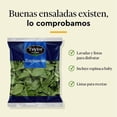 thumbnail image 4 of Espinacas Taylor Farms 255 g, 4 of 4