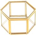 thumbnail image 1 of ZHAOCHENG Joyero de vidrio hexagonal,Caja de almacenamiento para exhibición de joyasCaja de joyería transparenteJoyero geométrico dorado,Estuche para anillosPendientesCollarPulseras, 1 of 5